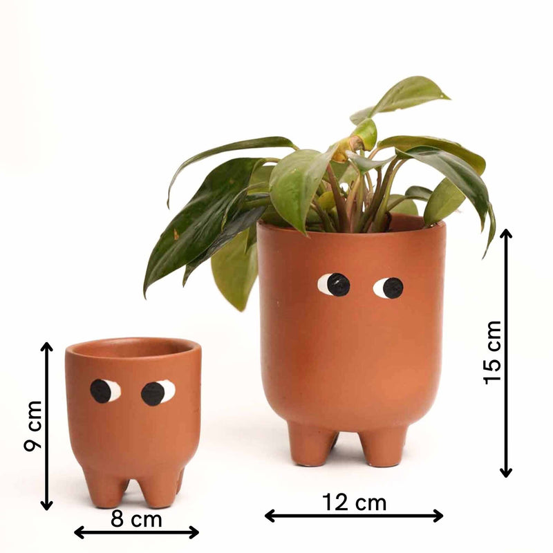 local-kala-ma-beta-planters-set-of-2