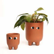 local-kala-ma-beta-planters-set-of-2