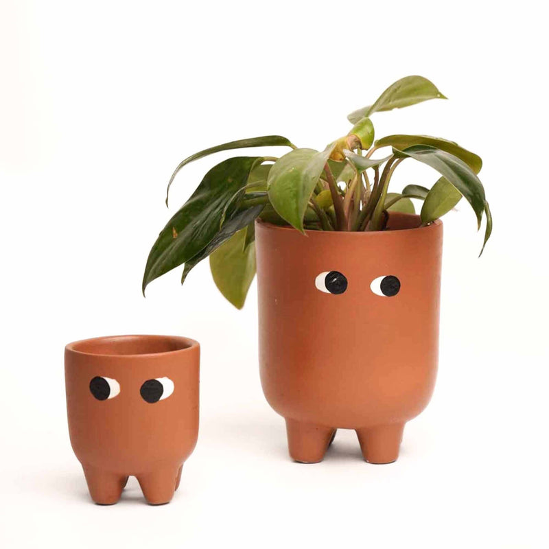 local-kala-ma-beta-planters-set-of-2