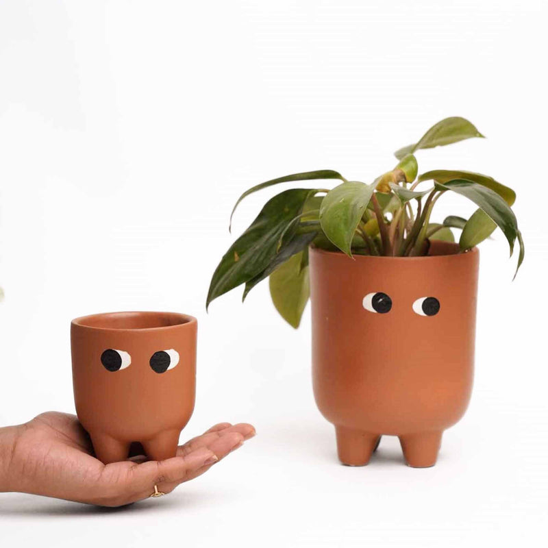 local-kala-ma-beta-planters-set-of-2