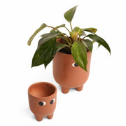 local-kala-ma-beta-planters-set-of-2