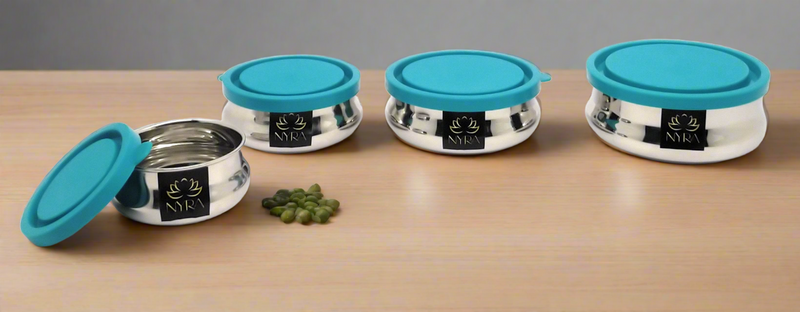 Premium Stainless Steel Food Storage Container – Storage Container