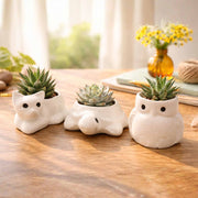 local-kala-three-cute-planter