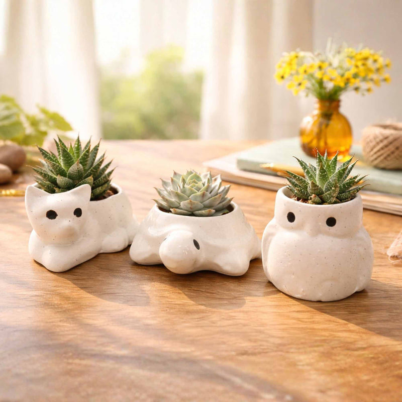 local-kala-three-cute-planter