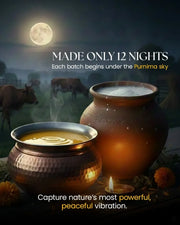 satv-dairy-a2-desi-cow-ghee-online-bilona-grain-fed