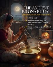satv-dairy-a2-desi-cow-ghee-online-bilona-grain-fed