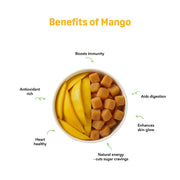 Natible Mango Freeze Dried – Naturally Fruity Snack