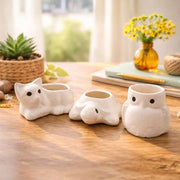 local-kala-three-cute-planter