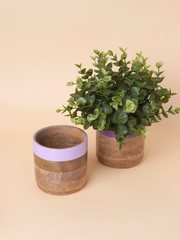 Nurture India Multicolor Planter Green Purple 4-Piece Set