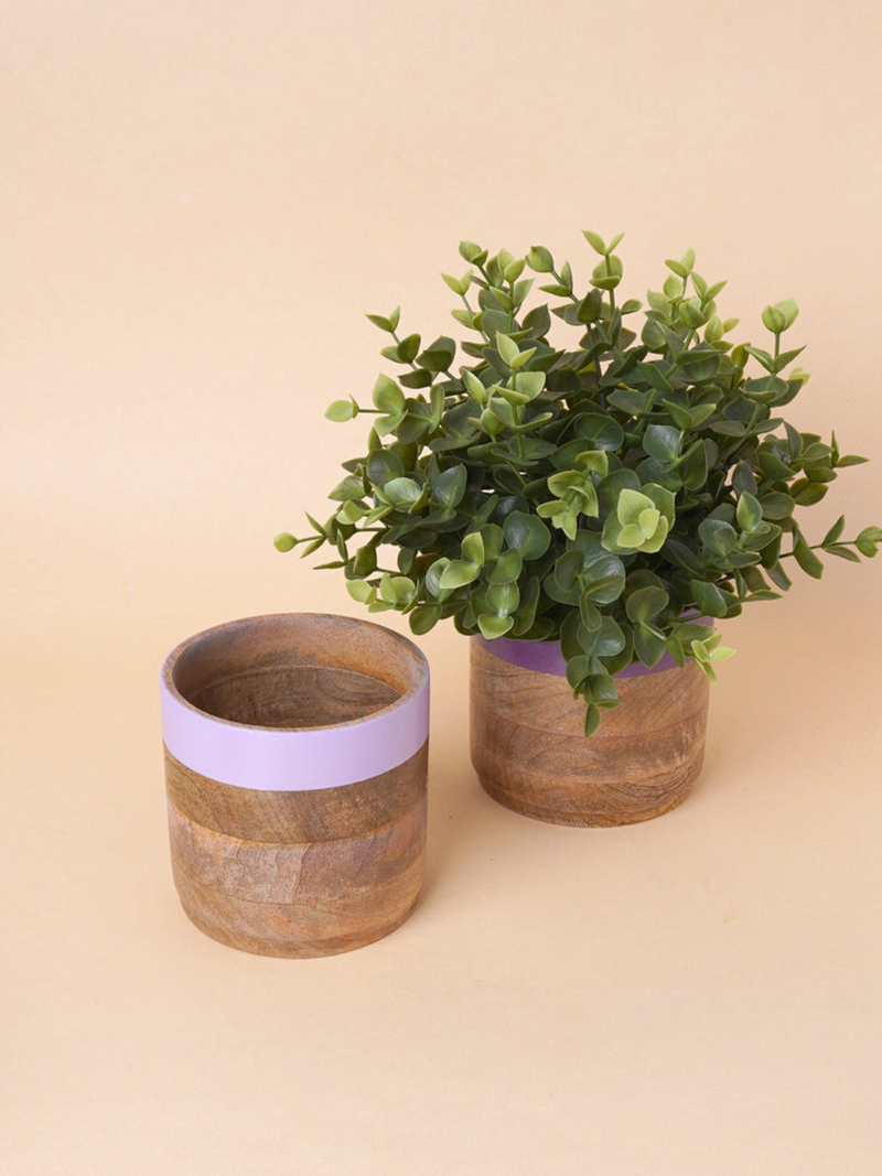 Nurture India Multicolor Planter Green Purple 4-Piece Set
