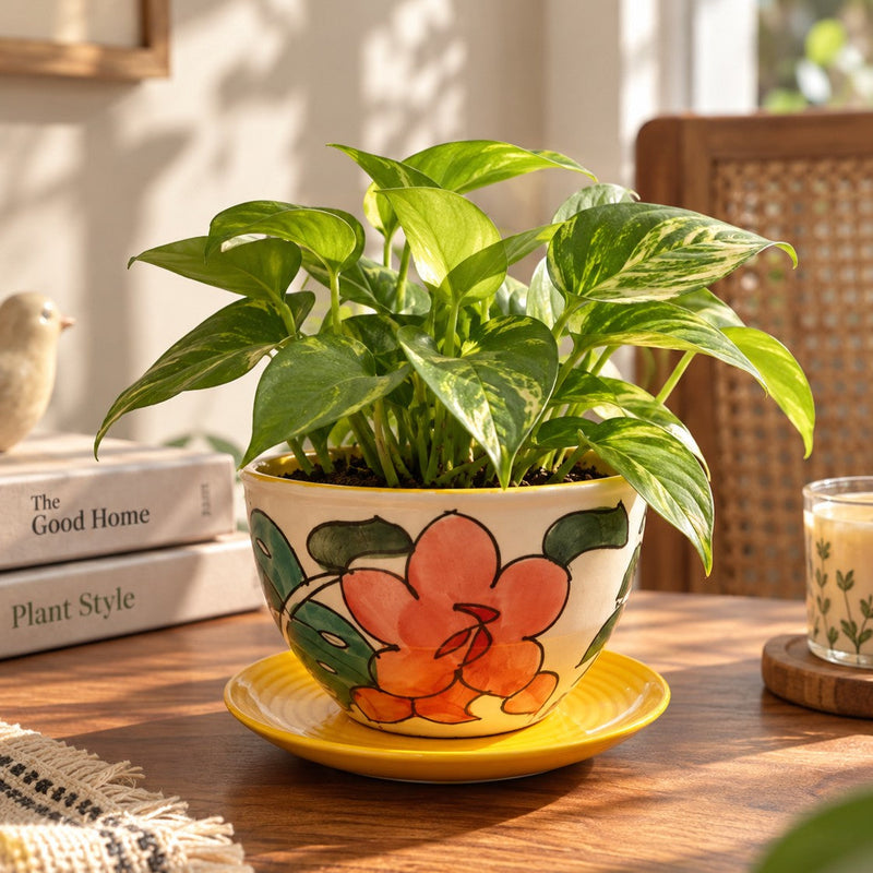 local-kala-spring-shades-planter