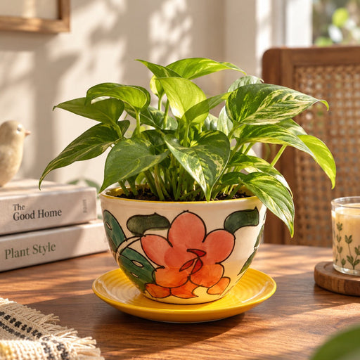 local-kala-spring-shades-planter