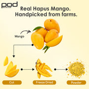 Pod Nutrition Hapus Mango Plant Nutrition Powder