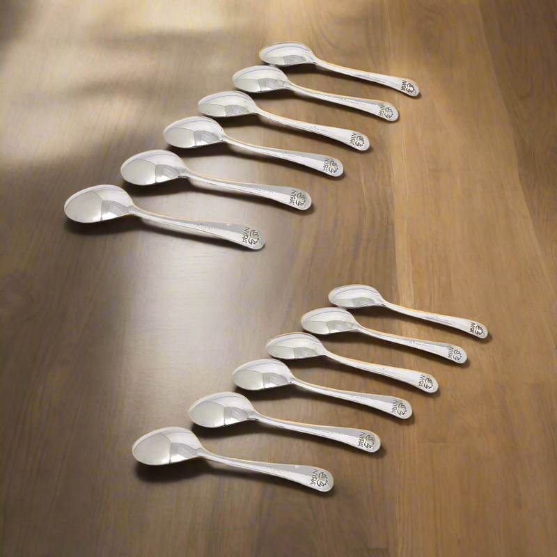 Stainless Steel Set of 12 Spoons