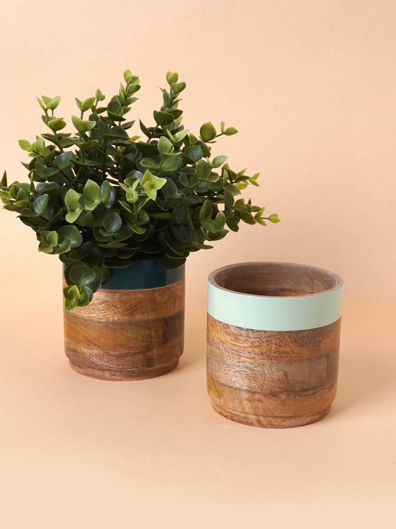 Nurture India Multicolor Planter Green Purple 4-Piece Set