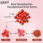 Pod Nutrition Real Strawberry Plant Nutrition Powder