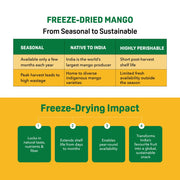Natible Mango Freeze Dried – Naturally Fruity Snack