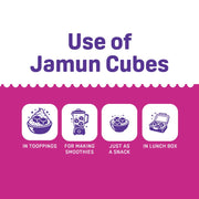 Natible Jamun Freeze Dried – Naturally Fruity Snack
