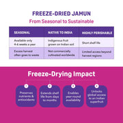 Natible Jamun Freeze Dried – Naturally Fruity Snack