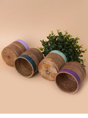 Nurture India Multicolor Planter Green Purple 4-Piece Set