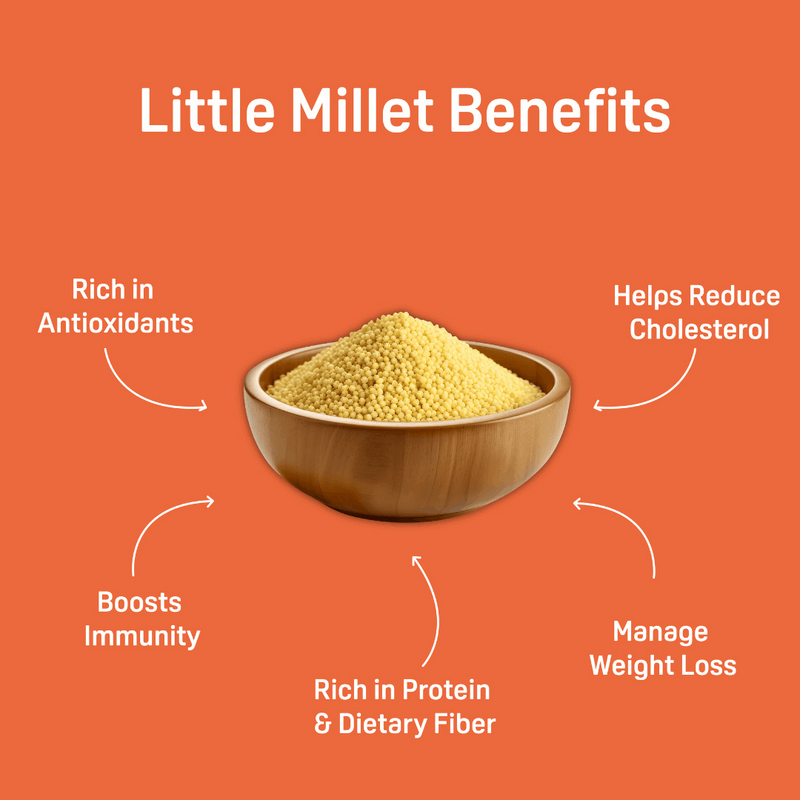 Natible Little Millet Hakka Noodles Variety Pack – Millet Based Instant Noodles (6.77 oz)