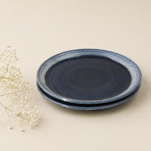 ceramic-kitchen-aureo-dinner-plates-10-inch