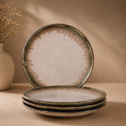 ceramic-kitchen-roseate-dinner-plates