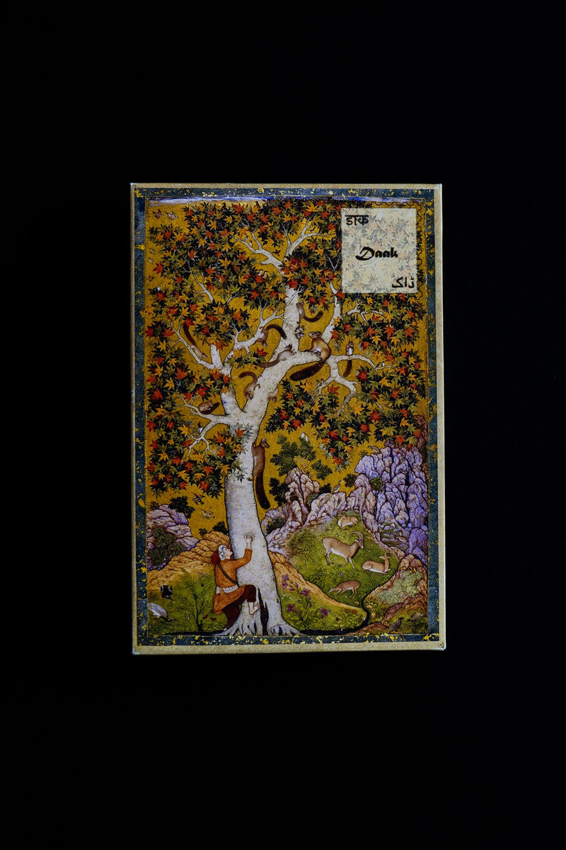 daak-vaak-postcard-box