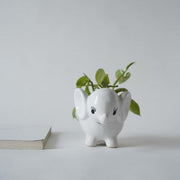 local-kala-cute-elephant