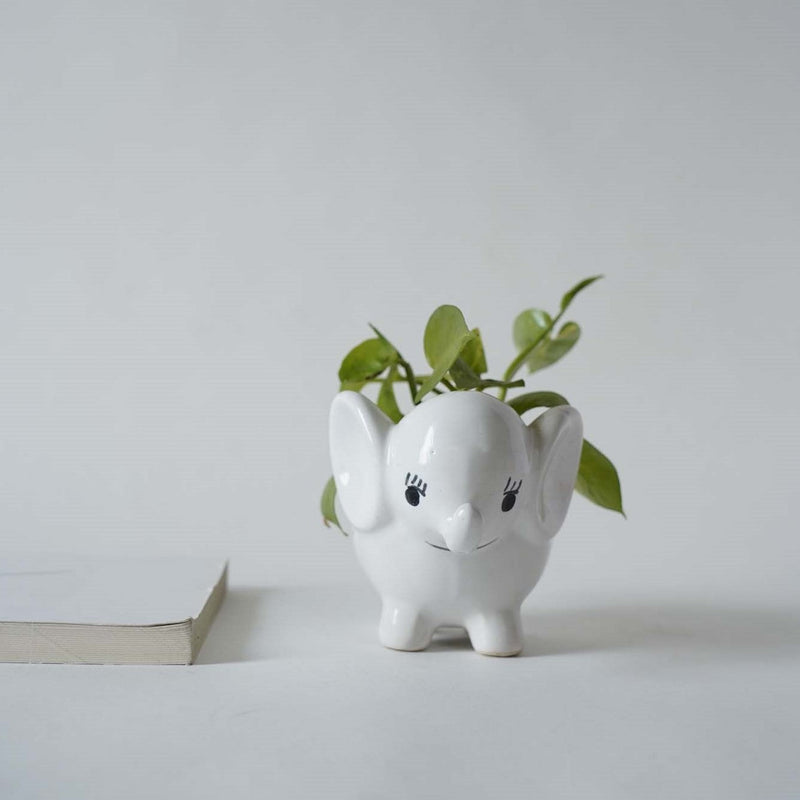 local-kala-cute-elephant