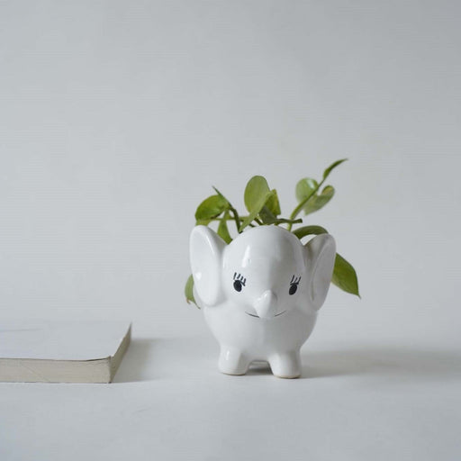local-kala-cute-elephant