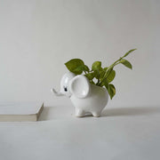 local-kala-cute-elephant