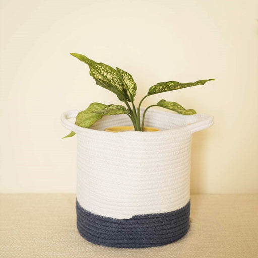 local-kala-jute-cotton-planter-storage-laundry-circular-basket-navy-and-white