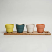 local-kala-full-of-life-planters-set-of-4