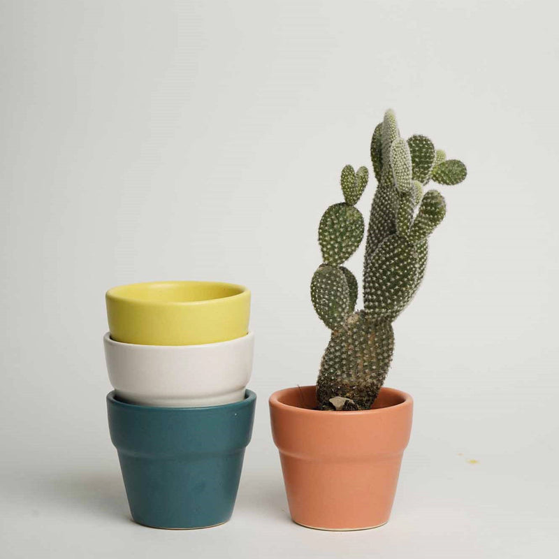 local-kala-full-of-life-planters-set-of-4