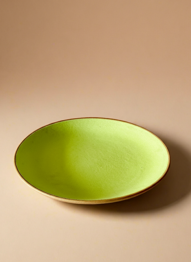 Nurture India Lime Green Dinner Plates 10-Inch