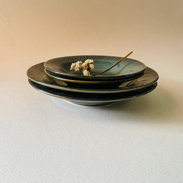 The Elengate Junior Senior Pasta Plates Set Of 4