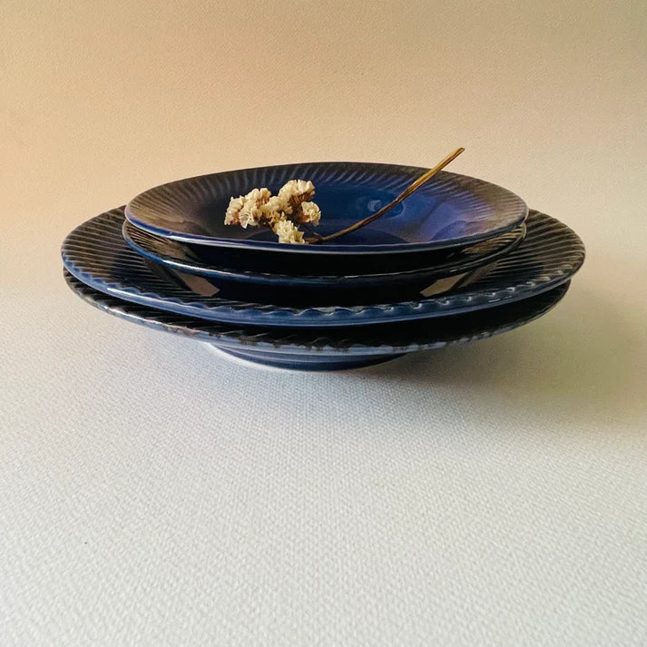 The Elengate Junior Senior Pasta Plates Set Of 4