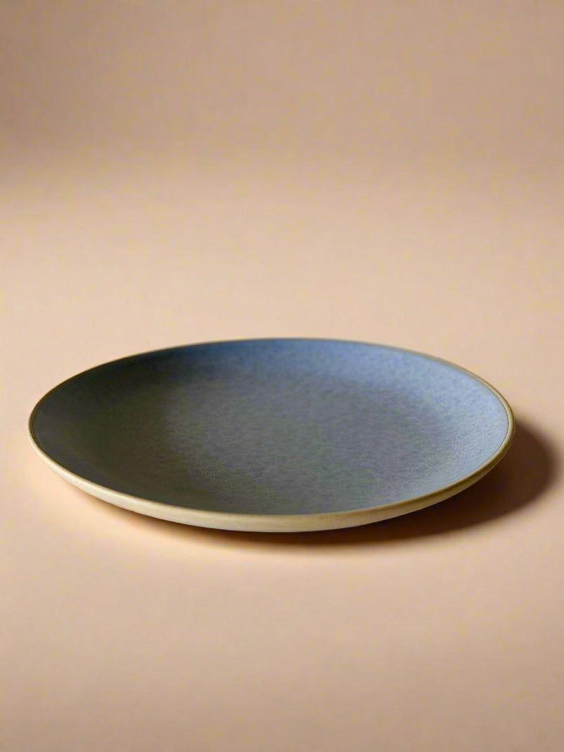 Nurture India Ocean Grey Dinner Plates 10-Inch