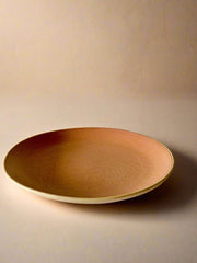 Nurture India Terracotta Brown Dinner Plates 10-Inch