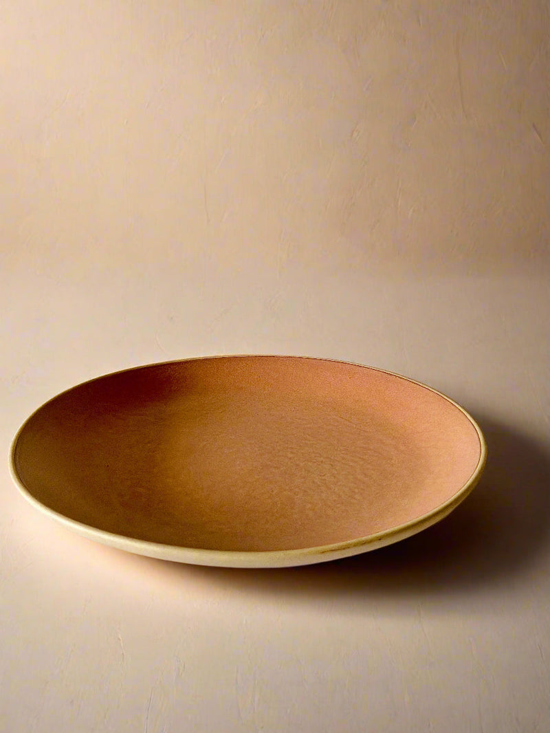 Nurture India Terracotta Brown Dinner Plates 10-Inch
