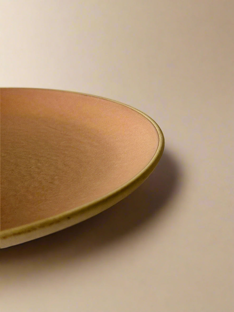 Nurture India Terracotta Brown Dinner Plates 10-Inch