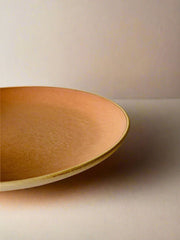 Nurture India Terracotta Brown Dinner Plates 10-Inch