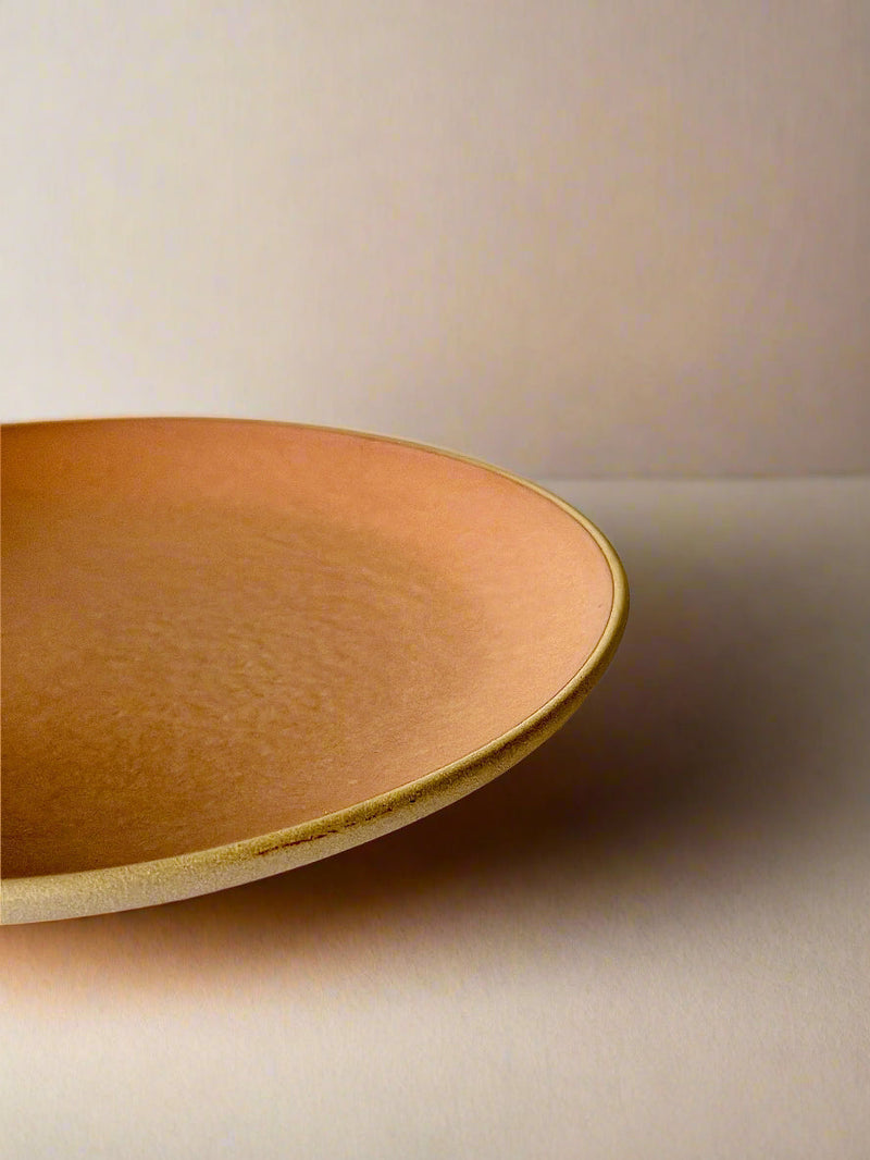 Nurture India Terracotta Brown Dinner Plates 10-Inch