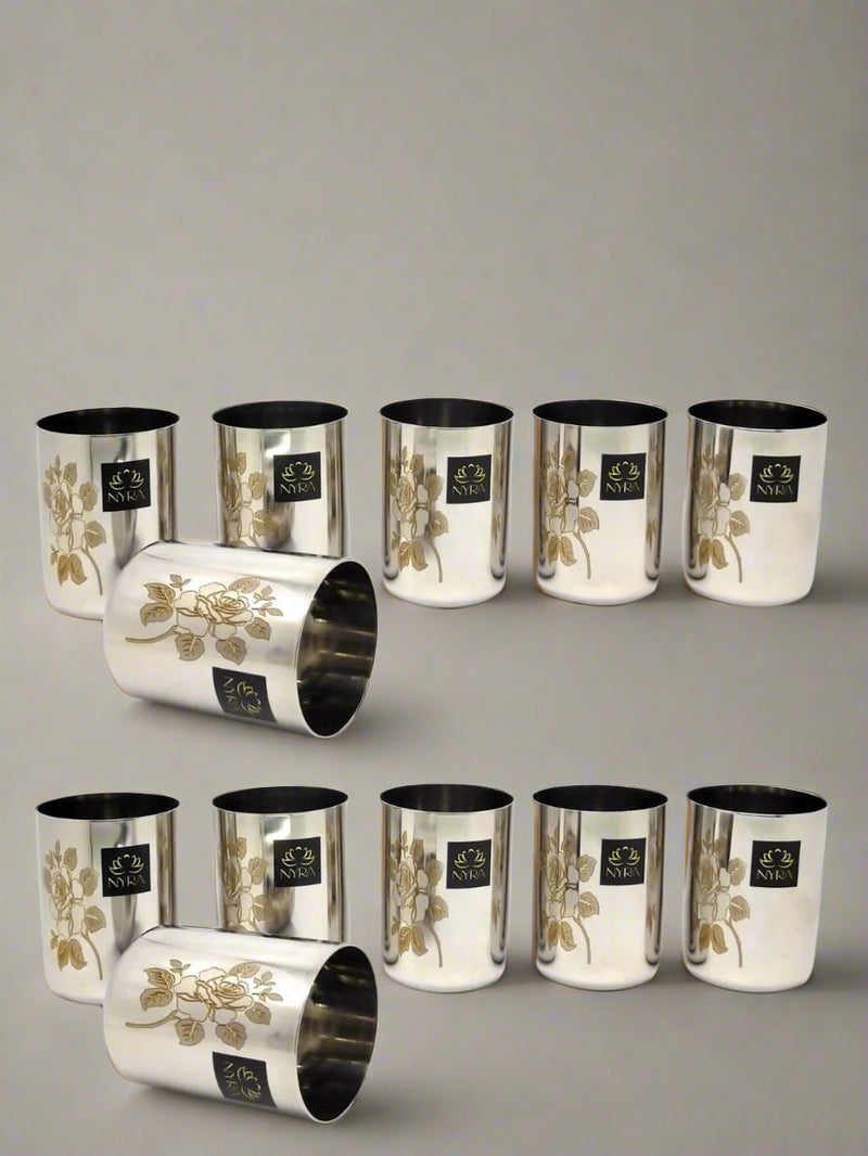 Stainless Steel Tumbler/Glass Set – Drinking Tumbler