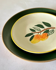 Nurture India Mango Snack Plate Combo