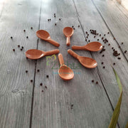 Neem Wood Broad Spoons: Set of 6 – Wooden Serving Spoon