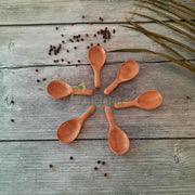 Neem Wood Broad Spoons: Set of 6 – Wooden Serving Spoon