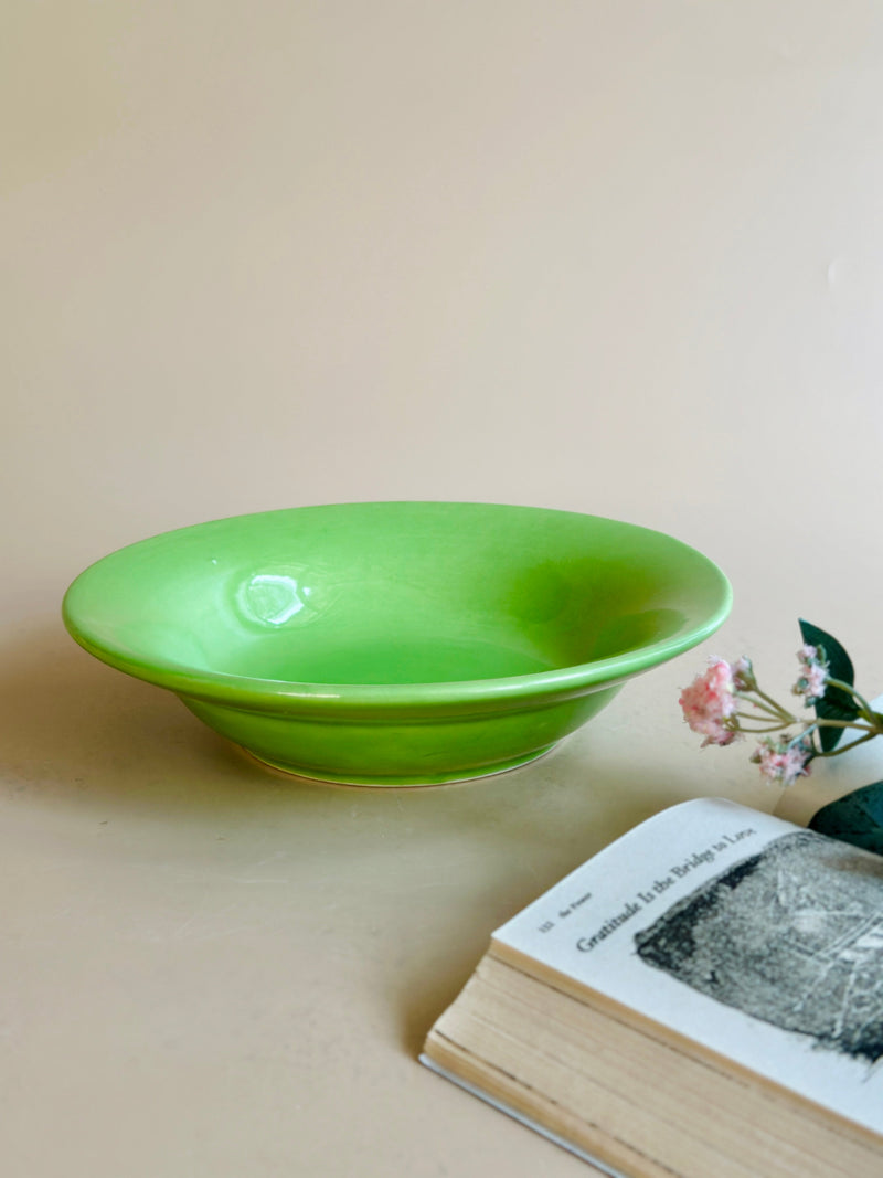 Nurture India Have It All Pasta Bowl Parrot Green