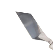 Premium Stainless Steel Pizza/Cake Server – Kitchen Utensil